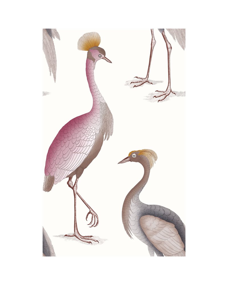 Garzas Blanco GDW-5773-007 Garzas Blanco GDW-5773-007