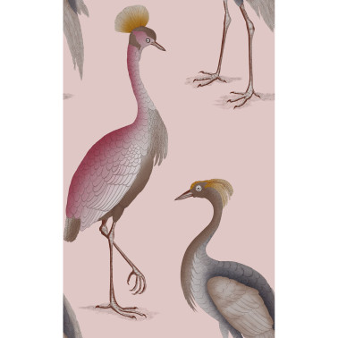 Garzas Rosa GDW-5773-006
