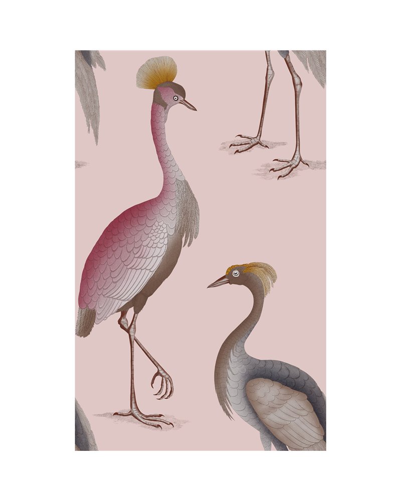 Garzas Rosa GDW-5773-006 Garzas Rosa GDW-5773-006