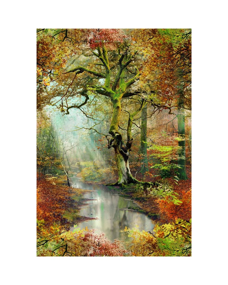 Sous Bois Foret 3337-01 Sous Bois Foret 3337-01