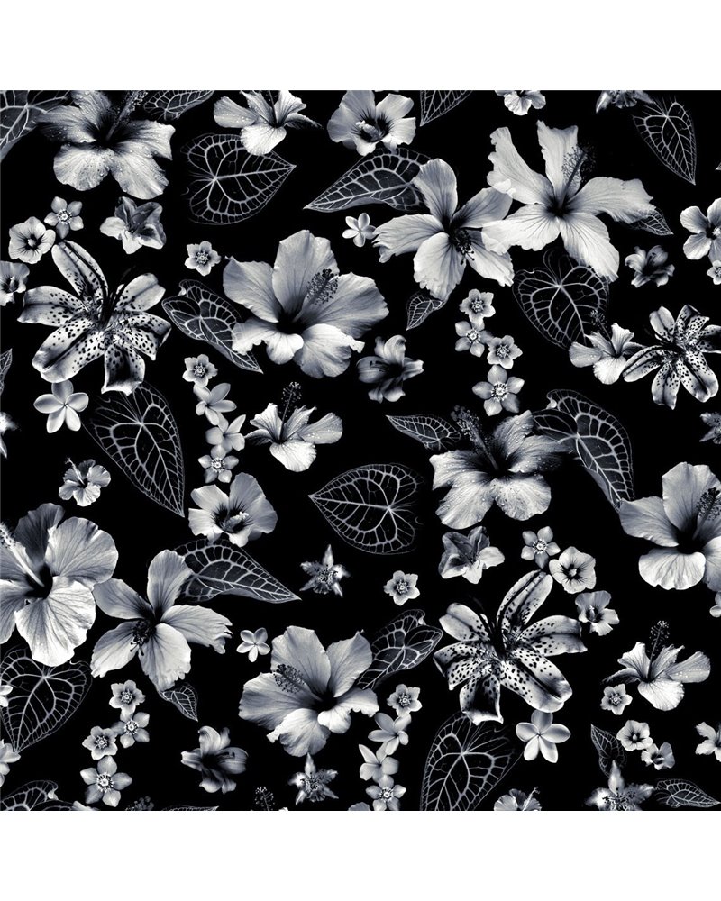 Cariacou Noir 3340-01 Cariacou Noir 3340-01