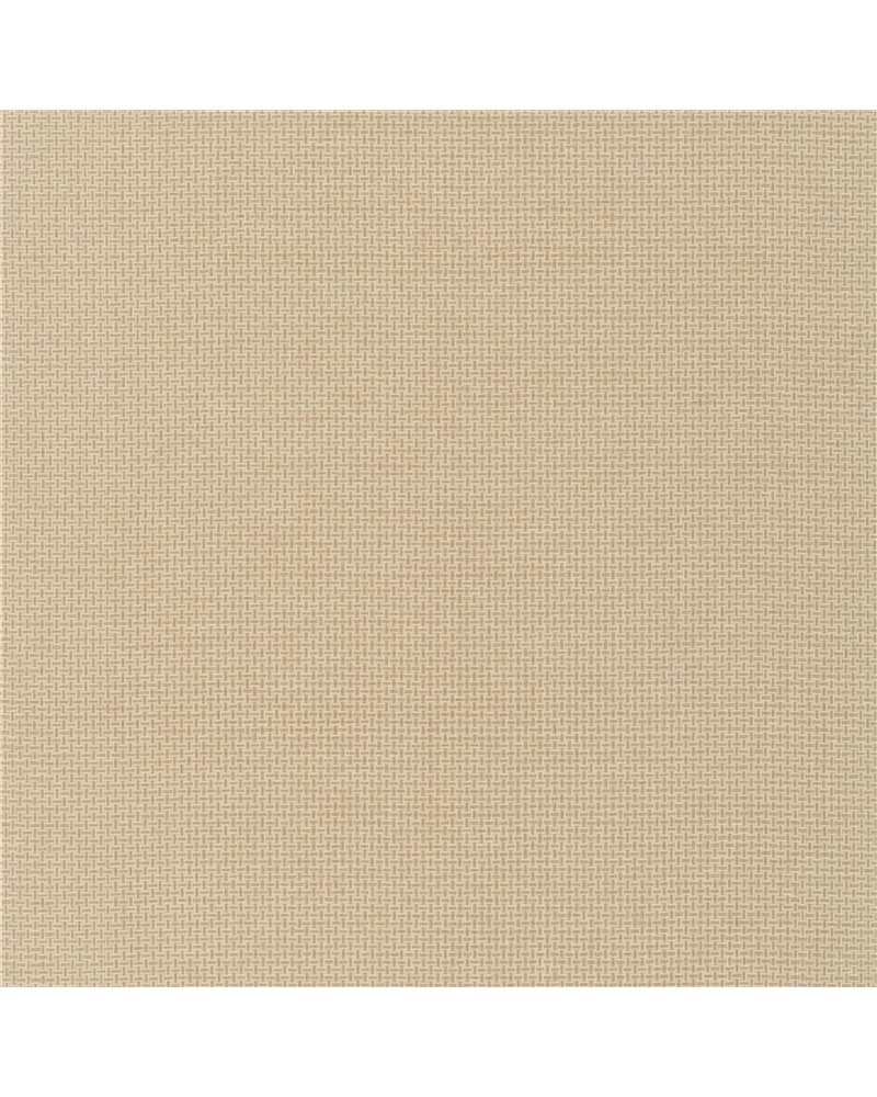 Baileyana Straw PRL5080-02 Baileyana Straw PRL5080-02