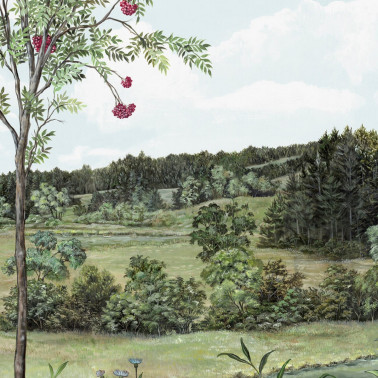 Sorbier Des Oiseaux MHP50
