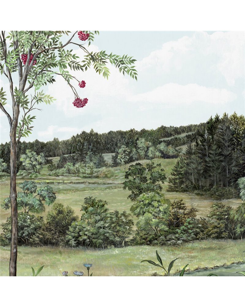 Sorbier Des Oiseaux MHP50