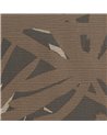 Pandanus 6241