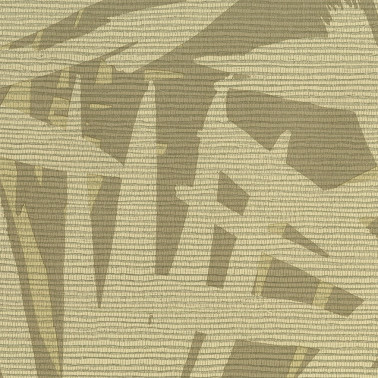 Pandanus 6248