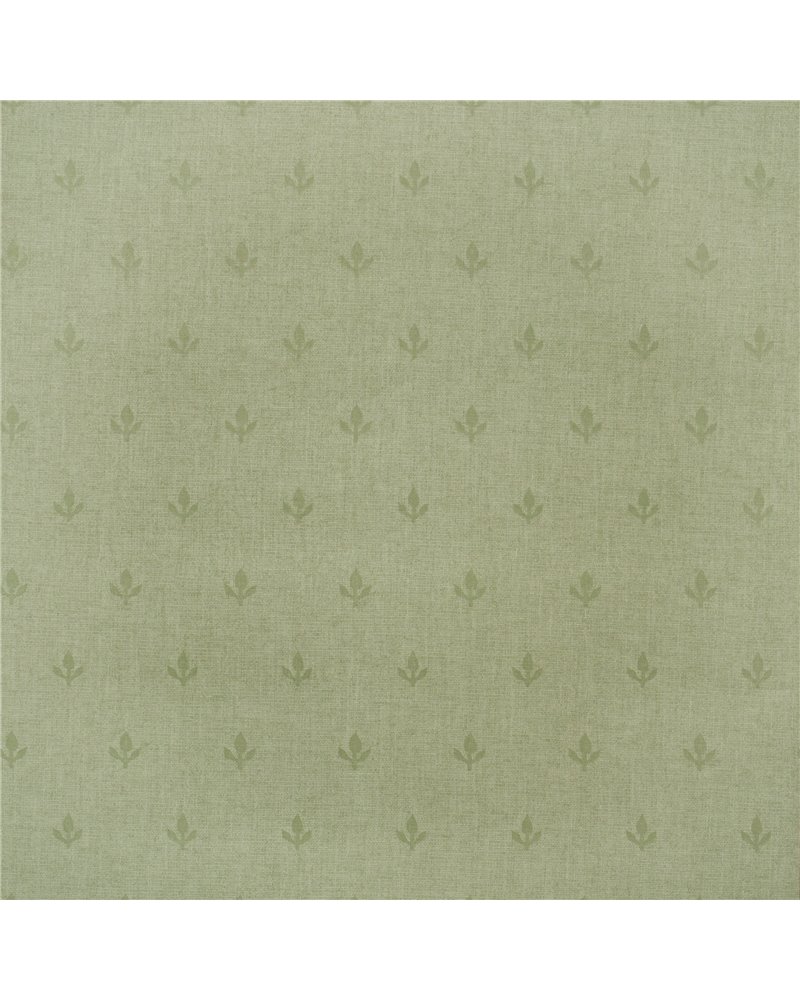 Crocus Leaf GPWCRLF Crocus Leaf GPWCRLF