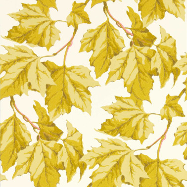 Dappled Leaf Citrine HSRW113046