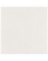 Empreinte Blanc Givre 88700108
