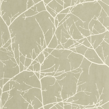 Vancouver Vert Lichen 89537200