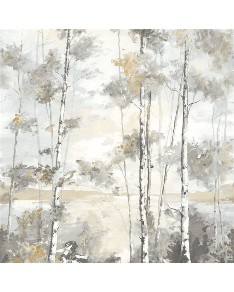Foret Boreale Gris Hivernal L 89569204 Foret Boreale Gris Hivernal L 89569204