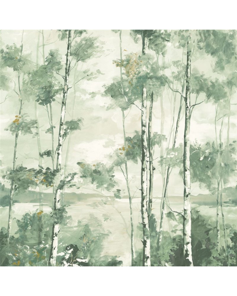 Foret Vert Eucalyptus L 89567804 Foret Vert Eucalyptus L 89567804