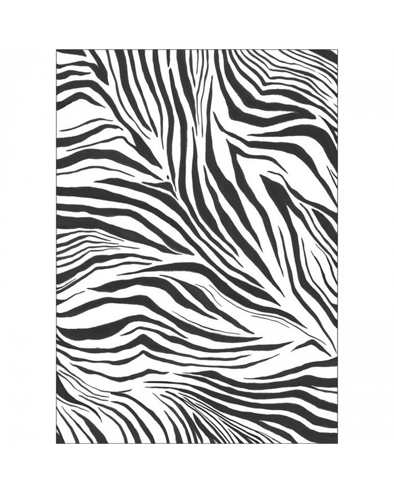 Zebra Blanc Noir 104960903 Zebra Blanc Noir 104960903