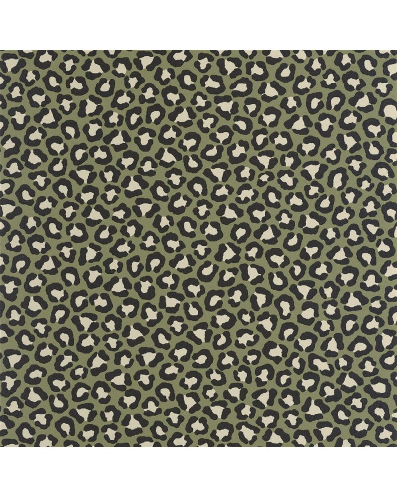 Sumatra Kaki 104947923 Sumatra Kaki 104947923