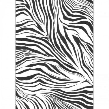 Zebra Blanc Noir L 104960904