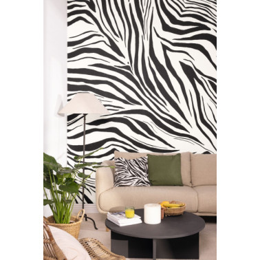 Zebra Blanc Noir 104960903