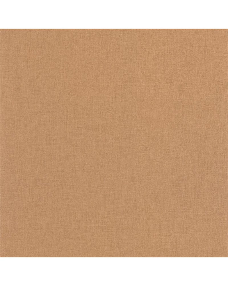 Life Camel 64522578 Life Camel 64522578