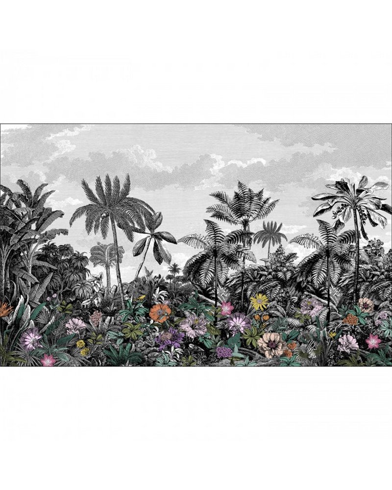 Paradise Island Noir M 104619914 Paradise Island Noir M 104619914