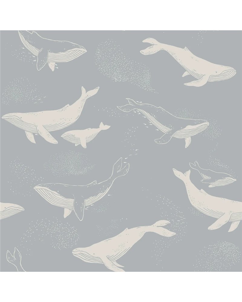Whales 6942 Whales 6942
