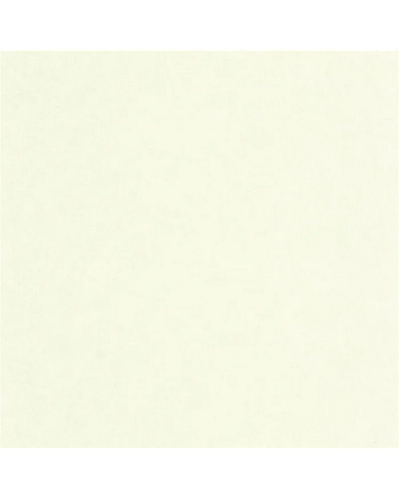 Uni Mat Vert Celadon 105247110 Uni Mat Vert Celadon 105247110