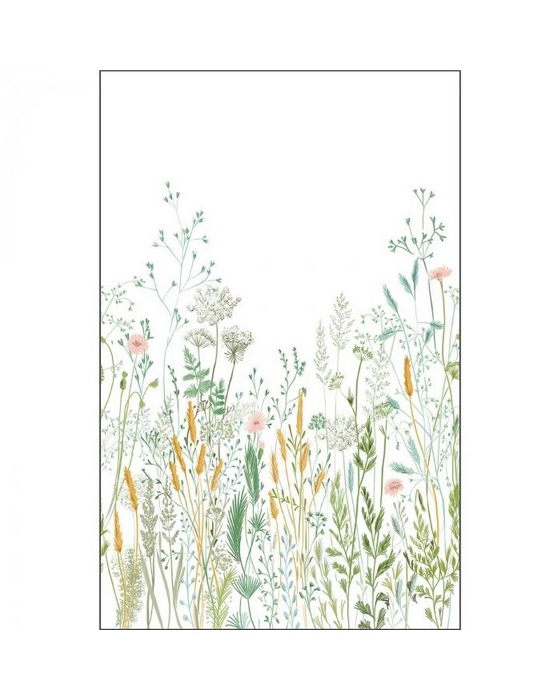 Herbarium Multicouleurs M 105390403 Herbarium Multicouleurs M 105390403