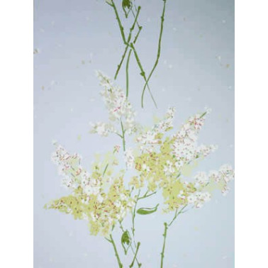 Papel de parede Barrignton  ncw4067-04 - NINA CAMPBELL