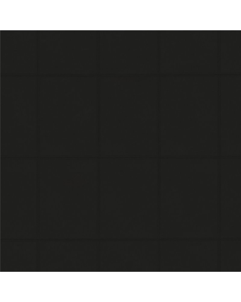 INDULGENCE-II EBONY 3B22-06.jpg
