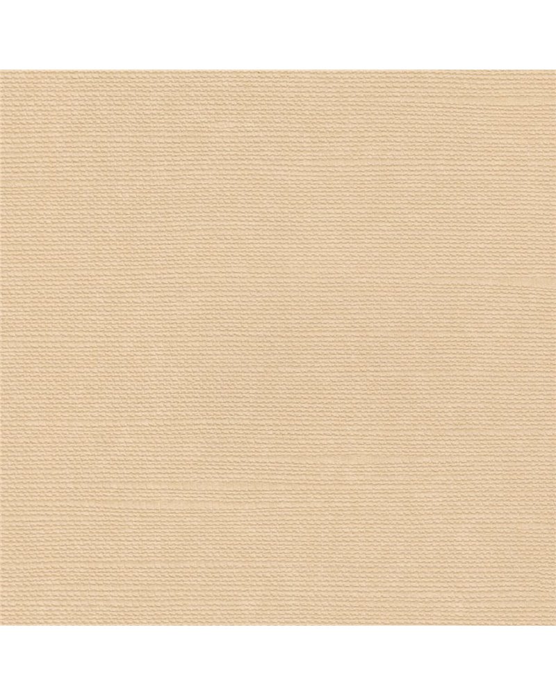 LINO LIGHT OF DAY LN21-02.jpg LINO LIGHT OF DAY LN21-02.jpg