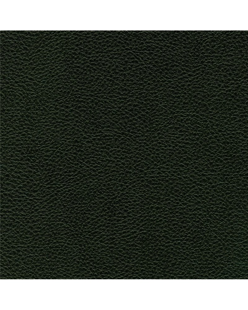 LUXURIOUS 6L21-99.jpg LUXURIOUS 6L21-99.jpg