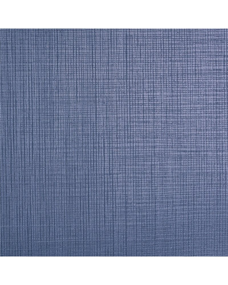 OLIVER BLUEBERRY LV21-04.jpg OLIVER BLUEBERRY LV21-04.jpg