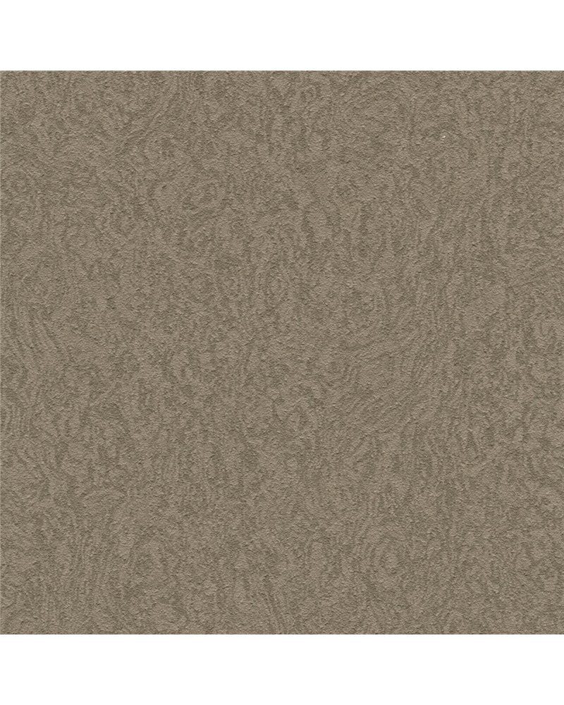 AMBROSIA G321-28.jpg AMBROSIA G321-28.jpg