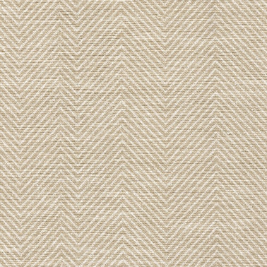 CROSS THE LINE-INTUITIVE-C822-20