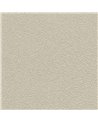 DESERT SAND 5521-16.jpg