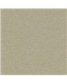 DESERT SAND 5821-31.jpg