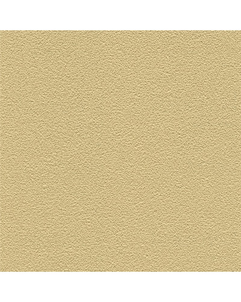 DESERT SAND 5821-33.jpg