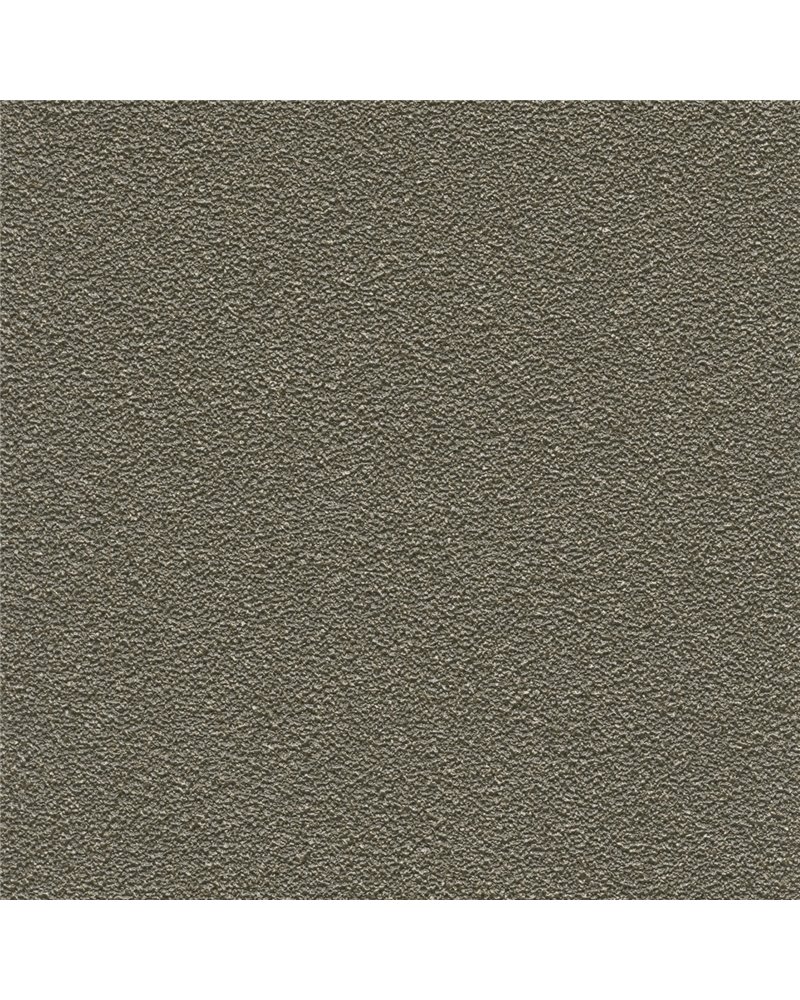 DESERT SAND 5821-38.jpg