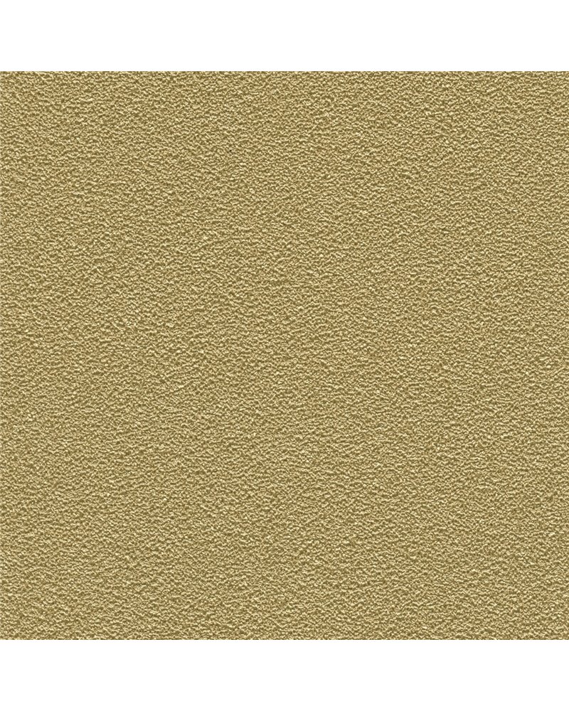 DESERT SAND 5821-50.jpg