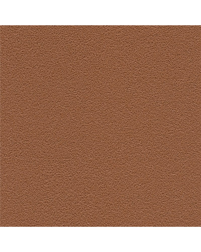 DESERT SAND 5821-61.jpg