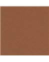 DESERT SAND 5821-61.jpg