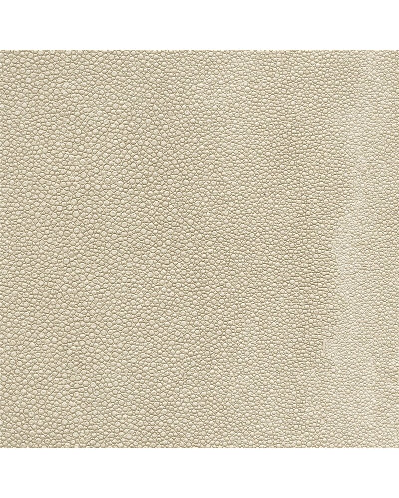 TIBURON SHAGREEN U421-15.jpg TIBURON SHAGREEN U421-15.jpg