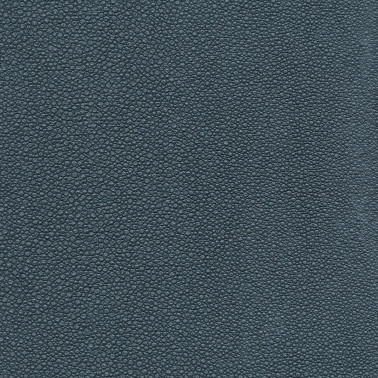 TIBURON SHAGREEN U421-79