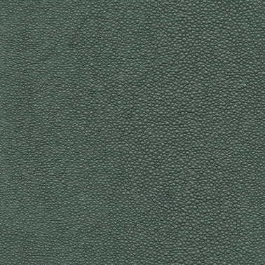 TIBURON SHAGREEN U421-89