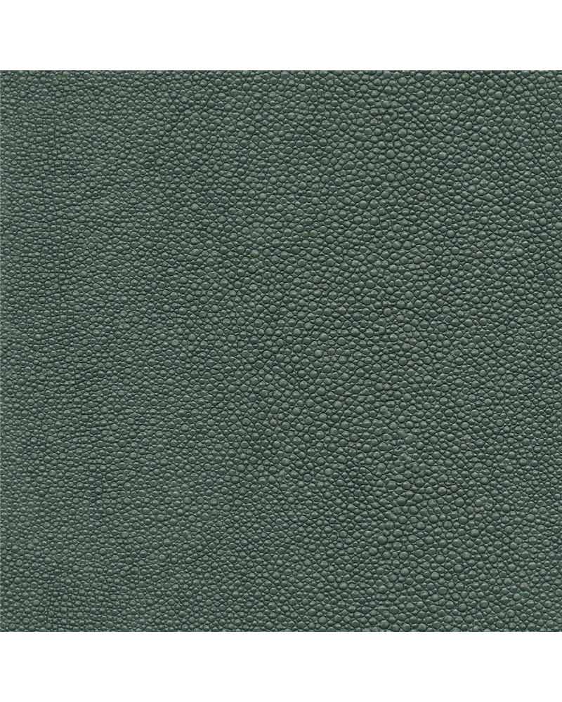 TIBURON SHAGREEN U421-89.jpg TIBURON SHAGREEN U421-89.jpg