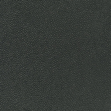 TIBURON SHAGREEN U421-99