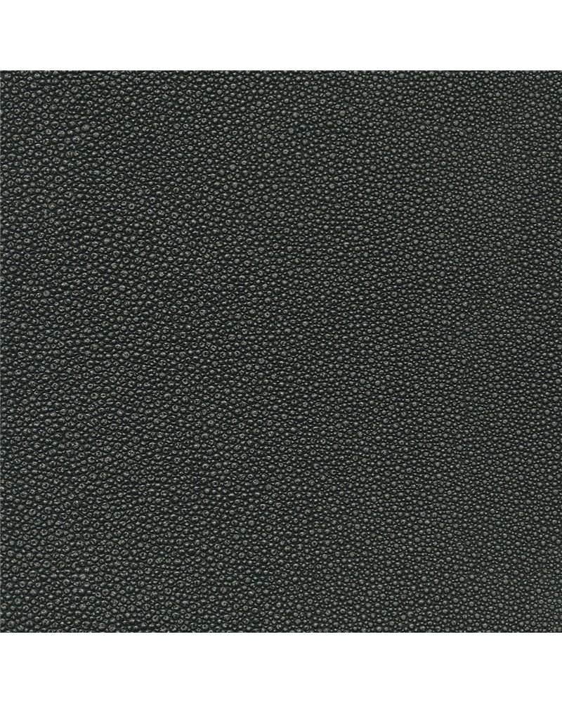 TIBURON SHAGREEN U421-99.jpg TIBURON SHAGREEN U421-99.jpg