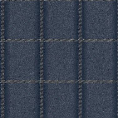 TATTERSALL-PLAID STONEWASHED TP21-07.jpg