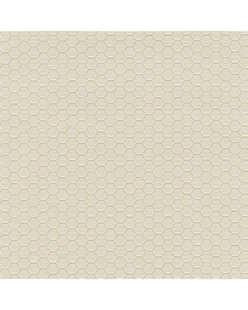 HEXAGON GRID 7422-20.jpg