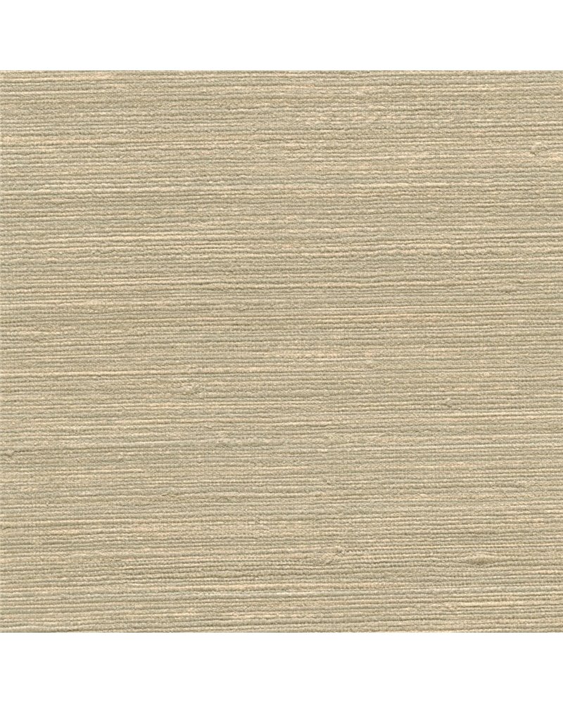 KASHI 7621-45.jpg KASHI 7621-45.jpg