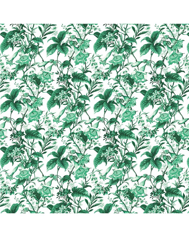 Qaruniyah Verde LCT-1113-001 Qaruniyah Verde LCT-1113-001