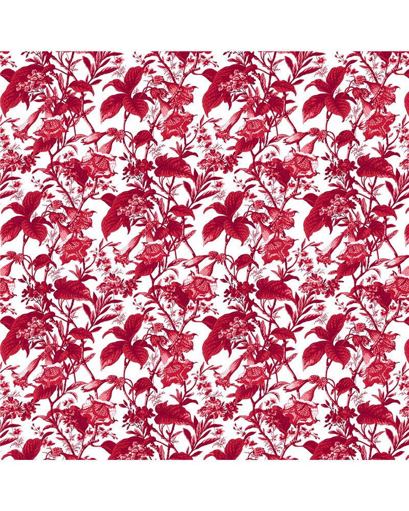 Qaruniyah Rojo LCT-1113-002 Qaruniyah Rojo LCT-1113-002